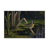 Trademark Fine Art Yellow Throat Canvas Art by Wilhelm Goebel