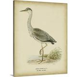 Great BIG Canvas | Vintage Heron II Canvas Wall Art - 24x30