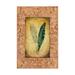 Trademark Fine Art Fern Leaf Framed 6 Canvas Art by Pablo Esteban