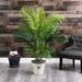 Primrue 62" Artificial Palm Tree in Planter Silk/Polyester/Resin/Plastic | 62 H x 31 W x 29 D in | Wayfair 4C31050AA29948959412B61900AE7A9A