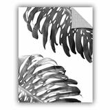 Bay Isle Home™ Glenam Double Philodendron BW Removable Wall Decal Vinyl in White | 48 H x 36 W in | Wayfair 6FEB4EB92B7F4315882CCC66ED4A8498