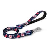 X MLB Boston Red Sox Dog Leash, Small, Multi-Color