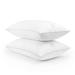 Martha Stewart Flat No More Jumbo Medium Support Pillow 100% Cotton | 20 H x 28 W x 4 D in | Wayfair DS25FNM-1J2PK