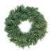 Northlight Seasonal 48" Pre-lit White Valley Pine Artificial Christmas Wreath - Clear Lights Traditional Faux, in Green/White | Wayfair 32913311