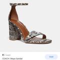 Coach Shoes | Coach Maya Signature Buckle Snake Print Sandals | Color: Gray/White | Size: 8.5