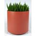 Latitude Run® Junita Plastic Pot Planter in Brown | 16" H x 36" W x 27.75" D | Wayfair AD4A9DF7E9254006AC69D7BF8966A067