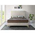 Everly Quinn Low Profile Platform Bed Upholstered/Velvet in Brown | 53 H x 81 W x 87.5 D in | Wayfair 44C8D8AA826249089C61AFB82EE4A375