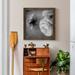 Ebern Designs Dark Ranunculus II - Picture Frame Photograp Canvas, Solid Wood in Gray | 31.5 H x 31.5 W x 1.5 D in | Wayfair