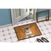 Winston Porter Teachey Wipe Your Paws Non-Slip Indoor Door Mat Synthetics | 18 W x 27 D in | Wayfair 33D1DC5CD23045C997EEC344A9F3C711