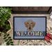 Winston Porter Watchtower Wirehaired Dachshund Welcome Non-Slip Outdoor Door Mat Synthetics | 18 W x 27 D in | Wayfair