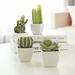 Primrue 4 - Piece Artificial Succulent in Pot Set Plastic | 5 H x 3 W x 2.75 D in | Wayfair 0FF9276DBF994BBCAB33678E2672E259