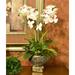 Primrue Orchids Floral Arrangement in Vase Faux Silk | 23 H x 12 W x 10 D in | Wayfair 21DFEFD7D3C247D8ACA99D701DA23FE4