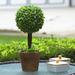 Primrue 12" Artificial Boxwood Topiary in Pot Set Resin/Plastic | 12 H x 6 W x 6 D in | Wayfair A49B02BEF0D7481DB62F0AA8FAF9569E