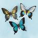 August Grove® 3 Piece Butterfly Wall Décor Set in Black/Blue | 13.78 H x 12.6 W x 0.79 D in | Wayfair 9F99D03C795A4595B4F25381555F5E00