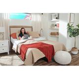 Alwyn Home Daisetta 15" Adjustable Bed w/ Remote, Metal | 15 H x 76 W x 79.5 D in | Wayfair 2C4C6FC5008E44ADB0E847DDF97C7686