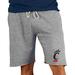 Men's Concepts Sport Gray Cincinnati Bearcats Mainstream Terry Shorts