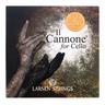 Larsen Il Cannone Cello Warm & Broad