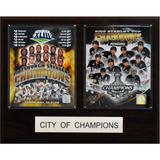 Pittsburgh Steelers & Penguins 16'' x 20'' City of Champions Plaque