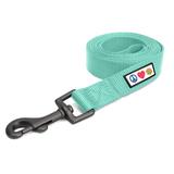Solid Teal Puppy or Dog Leash, Small, 6 ft., Blue