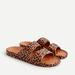 J. Crew Shoes | Freedom Moses J. Crew Leopard Print Sandals Nwt | Color: Brown | Size: 5
