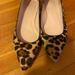 J. Crew Shoes | J Crew Pointy Toe Leopard Print Flats | Color: Black/Brown | Size: 9