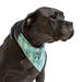 The Jingle Bell Reversible Dog Bandana, Small, Blue / Teal