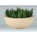 Rosecliff Heights Soundview Plastic Pot Planter Fiberglass in Gray | 14 H x 24 W x 18 D in | Wayfair EB5C5B3A196C4E8B918B108D7D923532