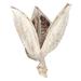 Vickerman 651339 - 3-4" Bleached Sora Pods 250/Bulk Case (H2SORB999) Dried and Preserved Pods