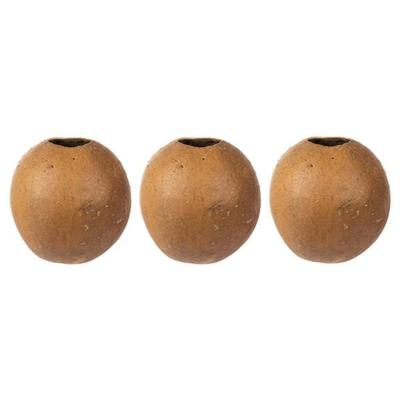 Vickerman 655566 - 6-7" x 6-8" Natural Bacacuia Gourd 3Pk (H2BAC000-3) Dried and Preserved Pods