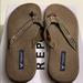 American Eagle Outfitters Shoes | American Eagle Sandals. Nwot | Color: Brown | Size: 8