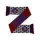 FOCO Chicago Cubs Reversible Thematic Scarf