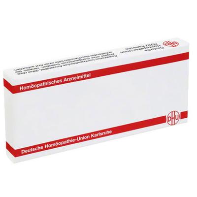 Thuja C 30 Ampullen 8x1 ml Image