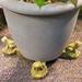 Nichols Bros. Stoneworks Frog Planter Feet Stone in Brown | 2.5 H x 2.25 W x 3.75 D in | Wayfair GNFRPT-DW