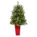 The Holiday Aisle® Grand Teton 3.67' Green Fir Artificial Christmas Tree w/ 50 Clear Lights in Green/White | 44 H x 18 W in | Wayfair