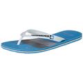 Quiksilver Herren Molokai Word Block Flops for Men Flip-Flop, White/Grey/Blue, 39 EU