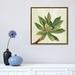 East Urban Home Front Yard Succulent I by Silvia Vassileva - Painting Print Canvas in Green/White | 18 H x 18 W x 1.5 D in | Wayfair