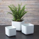 Latitude Run® Eziah 3-Piece Self-Watering Planter Box Set Resin/Plastic/Stone in White | 7.75 H x 7.75 W x 7 D in | Wayfair