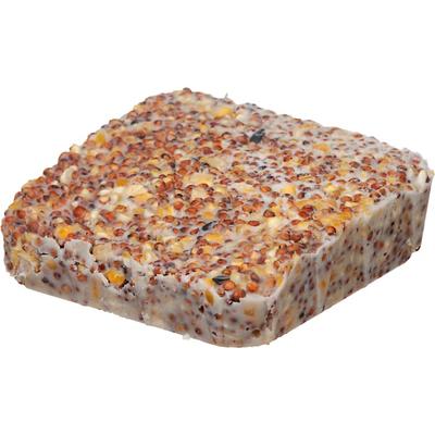 Morning Song Year-Round Suet