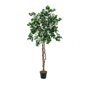 EUROPALMS Bougainvillea, Kunstpflanze, weiß, 180cm Image
