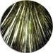 Design Art 'Long Bamboos in Bamboo Forest' Photographic Print on Metal in Green | 23 H x 23 W x 1 D in | Wayfair MT11180-C23