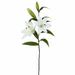 Bay Isle Home™ Artificial Real Touch Tiger Lilies Stem Polyester in White | 33 H x 14 W x 14 D in | Wayfair BAYI6517 35267526