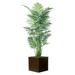 Bayou Breeze Green Palm Tree in Planter Metal in Brown | 84 H x 22 W x 22 D in | Wayfair BBZE1573 39051156