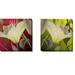 Latitude Run® 'Lily' 2 Piece Graphic Art Print Set on Wrapped Canvas Canvas, Solid Wood in Brown/Green/Red | 12 H x 12 W x 1.5 D in | Wayfair