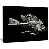 Design Art Fish Skeleton Bone on - Wrapped Canvas Graphic Art Print Canvas in Black | 8 H x 12 W x 1 D in | Wayfair PT13163-12-8