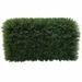 Darby Home Co Everyday Green Cedar Hedge Plastic | 12 H x 24 W x 24 D in | Wayfair DBYH4475 35267404