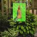 Caroline's Treasures Message in a Bottle Polka Dot 2-Sided Polyester 15 x 11 in. Garden Flag in Green | 15 H x 11 W in | Wayfair BB8260GF