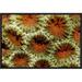 East Urban Home 'Stone Coral Detail, Indonesia.' Framed Photographic Print in Green/Orange | 12 H x 18 W x 1.5 D in | Wayfair EAAC7955 39224090