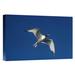East Urban Home Swallow-Tailed Gull Flying - Wrapped Canvas Photograph Print Canvas, Wood in Blue/Gray | 12 H x 18 W x 1.5 D in | Wayfair