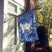Caroline's Treasures Sphynx Cat Welcome 2-Sided Polyester 40 x 28 in. House Flag in Blue | 40 H x 28 W in | Wayfair CK4954CHF