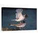 East Urban Home Swallow-Tailed Gull Pair Mating - Wrapped Canvas Photograph Print Canvas, Wood in Blue/White | 26 H x 42 W x 1.5 D in | Wayfair